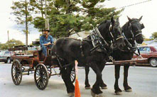 Atlanta Elk Festival Wagon Rides