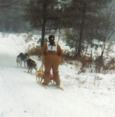 Sled Dog Races